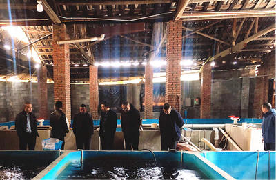 懷化市畜牧水產事務中心調研芷江漁業(yè)產業(yè)鏈發(fā)展，探索汽車裝飾用品跨界融合新機遇