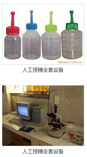 九宮格網(wǎng)絡(luò)營(yíng)銷 助力中小企業(yè)數(shù)字化騰飛，共筑畜牧漁業(yè)飼料銷售新生態(tài)